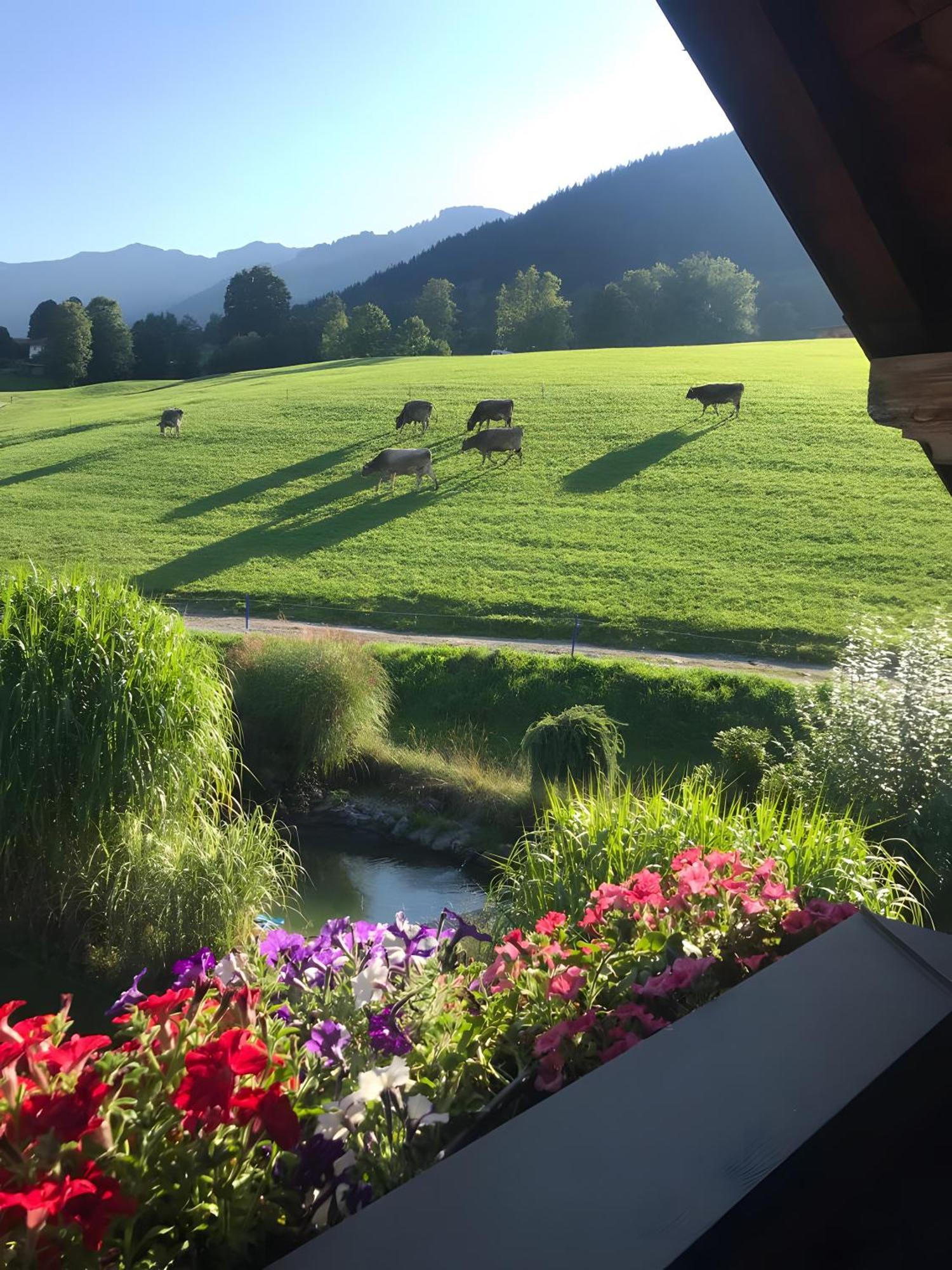 Ferienwohnung Langeck Maria Alm am Steinernen Meer Buitenkant foto