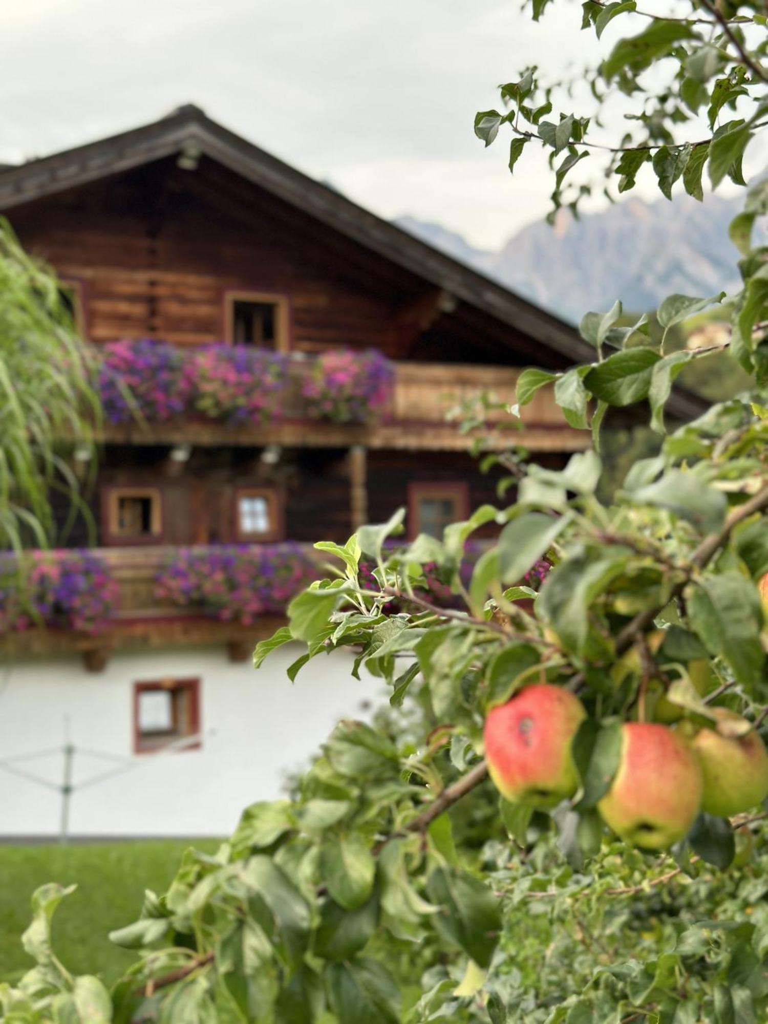 Ferienwohnung Langeck Maria Alm am Steinernen Meer Buitenkant foto
